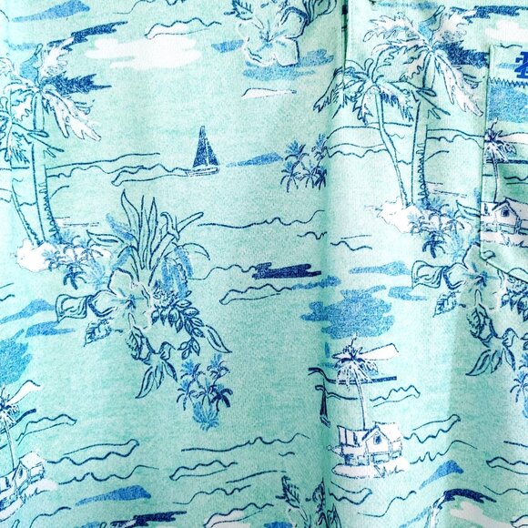 IZOD Saltwater Golf Polo Shirt Green Size Large Polyester All Over Print Shirt - Picture 2 of 4